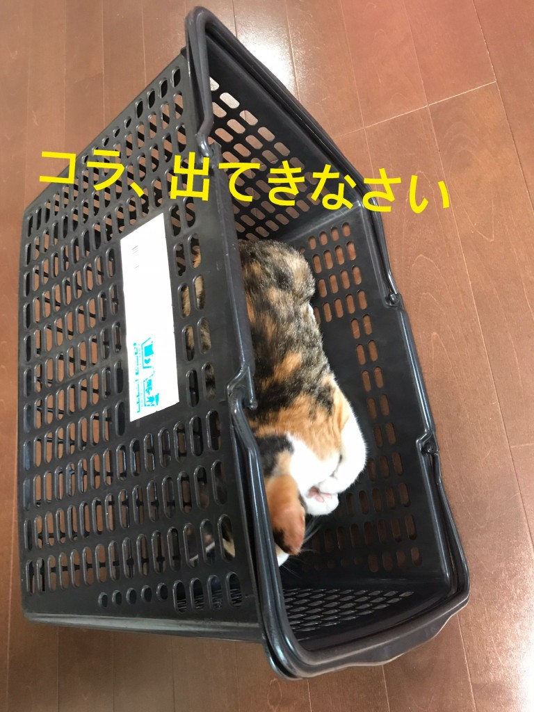 47F64110-B241-40D4-8B92-F0C3503A7B56