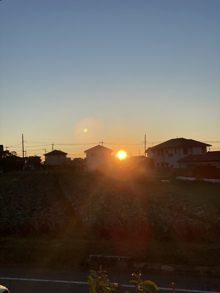 IMG_9181